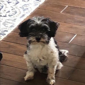 Meet your Posher, Drew